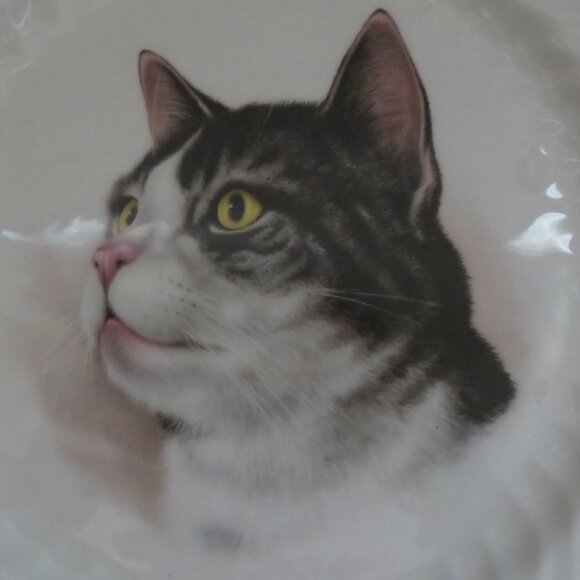 Royal Staffordshire Bone China CAT Plate Gold Rim Vintage (F69) - Picture 4 of 6